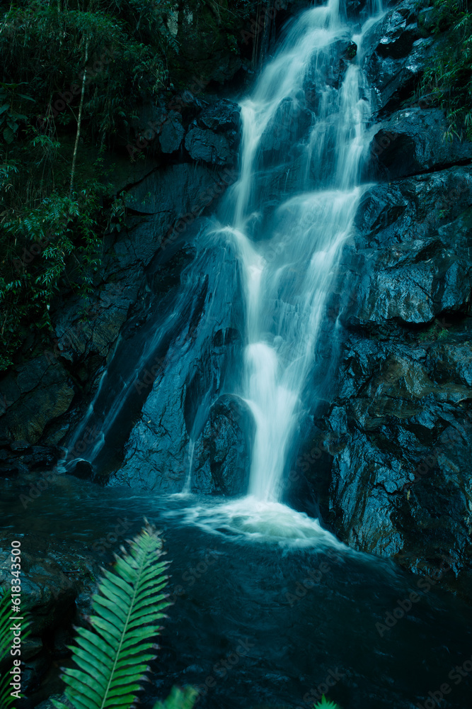 A waterfall with the veil-like flow of its waters in long exposure, with a fern leaf in the foreground.