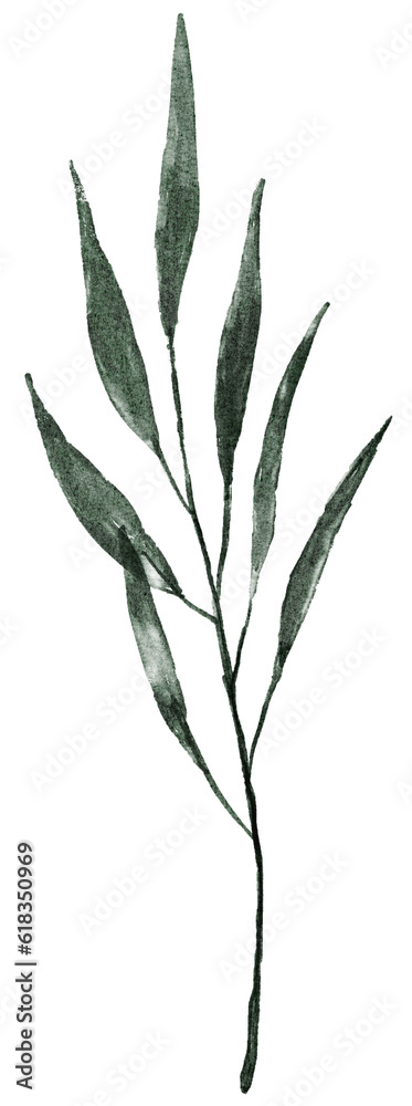 Fototapeta premium Watercolor Leaves Illustration