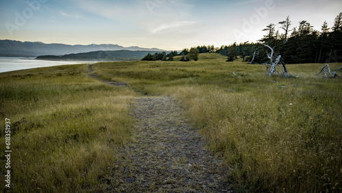 Grass pathway leading into the distance at Helliwell Provincial Park on Hornby Island, British Columbia, Canada.