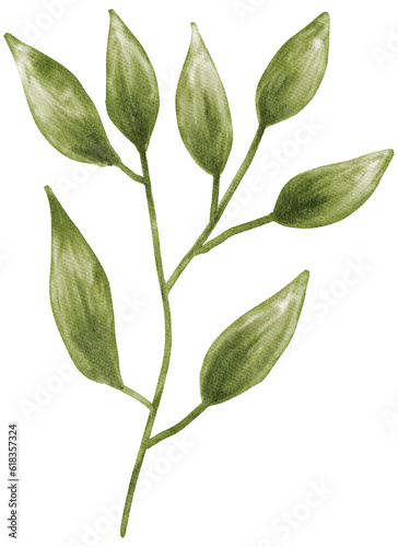 watercolor leaf illustration © Samita