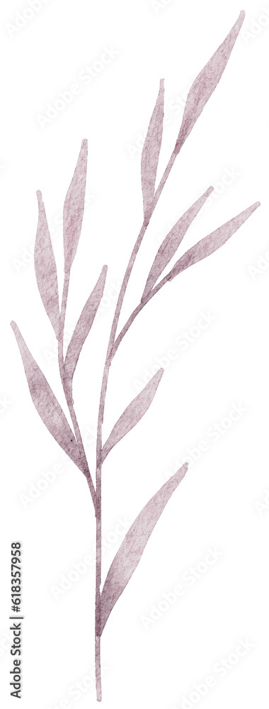 watercolor leaf illustration watercolor leaf illustration