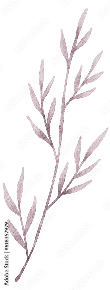 Fototapeta premium watercolor leaf illustration