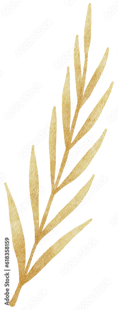 watercolor leaf illustration watercolor leaf illustration
