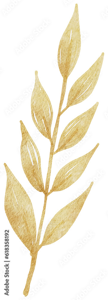 watercolor leaf illustration watercolor leaf illustration
