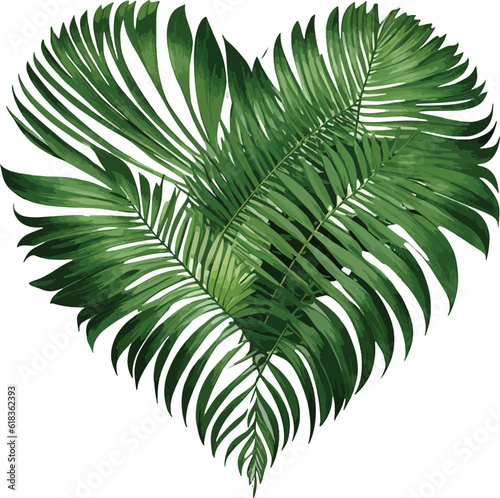 Palm Leaves Heart Shape Vector photo