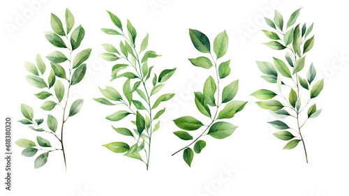 Watercolor of Tropical spring floral green leaves and flowers elements isolated on transparent png background  bouquets greeting or wedding card decoration  with Generative Ai.