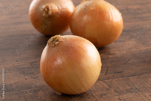 玉ねぎ　onion	