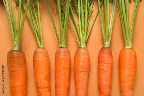 Fresh carrots on orange background
