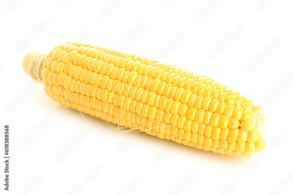 Fresh corn cob on white background Fresh corn cob on white background