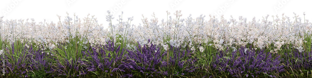 Obraz premium Evergreen colorful flowers field in nature, Flowres on garden in springtime, Tropical forest isolated on transparent background - PNG file, 3D rendering illustration for create and design or etc