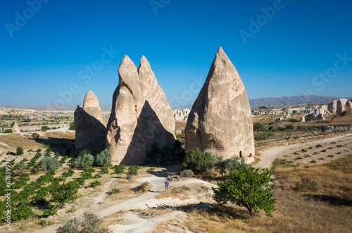 The fairy chimneys of Cappadocia, cone-shaped rock formations standing in the middle of a semi-desert plateau, Goreme National Park, Turkey