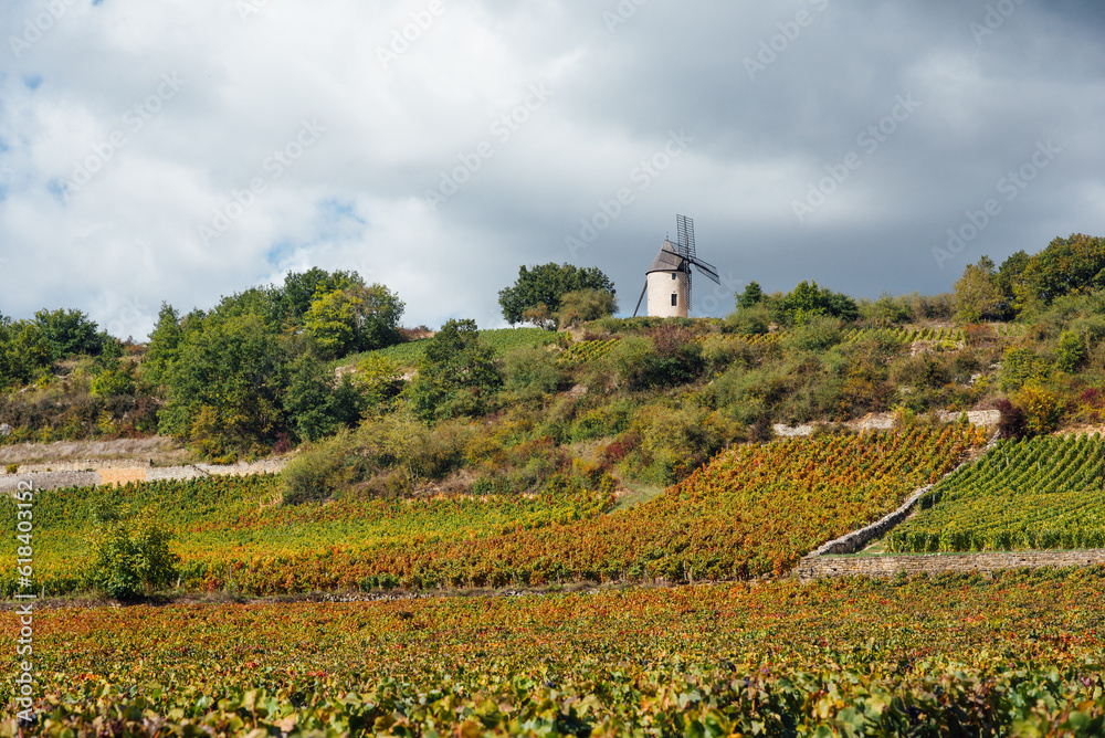 Vignoble en automne. Un moulin à vent en Côte d'Or. Des vignes durant l'automne. Paysage de Bourgogne. Viticulture et agriculture traditionnelle. Moulin à vent de Santenay. Paysage viticole.