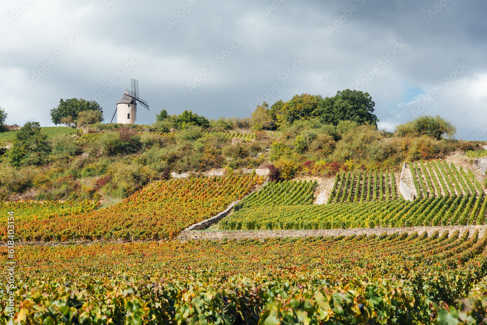 Vignoble en automne. Un moulin à vent en Côte d'Or. Des vignes durant l'automne. Paysage de Bourgogne. Viticulture et agriculture traditionnelle. Moulin à vent de Santenay. Paysage viticole.