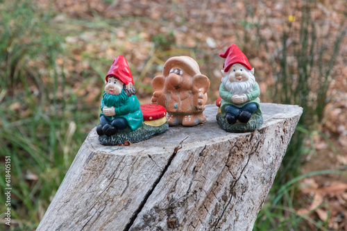 Dwarfs in the forest