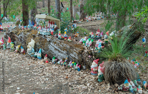 Dwarfs in the forest