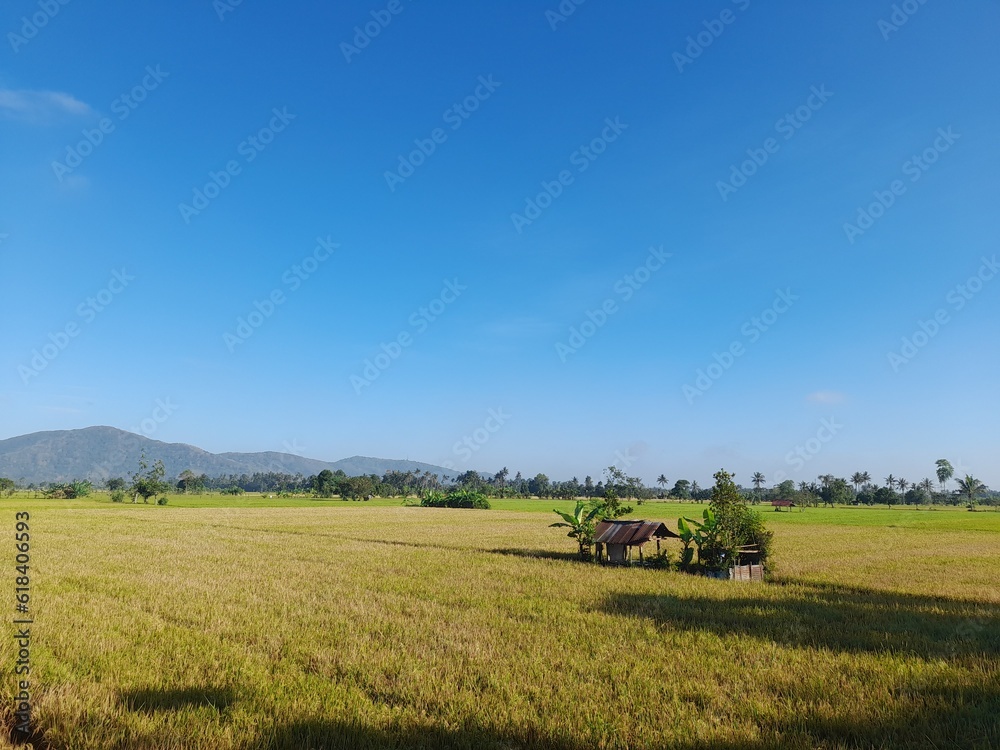 Natural landscapes, rice paddies, trees, and skies in Lombok Island, Indonesia.