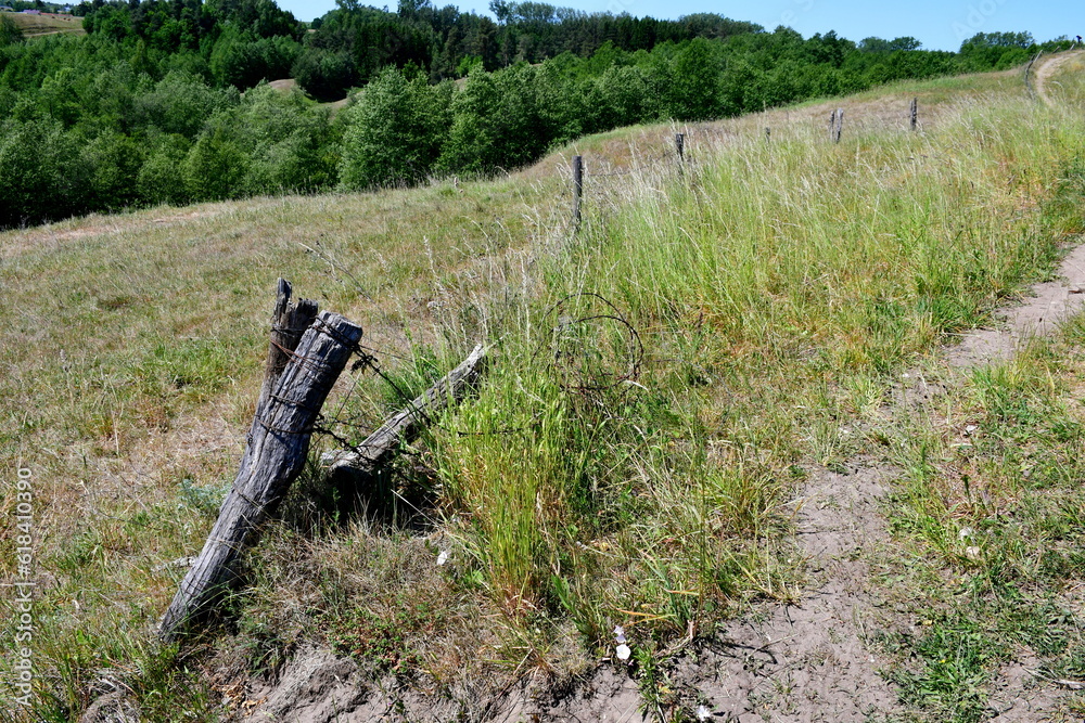 Obraz premium A view of a winding path leading through hills and slopes seen in the middle of a field, meadow, or pastureland, with some forests, moors, and wooden fences visible in the background in Poland