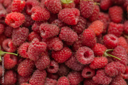 raspberry