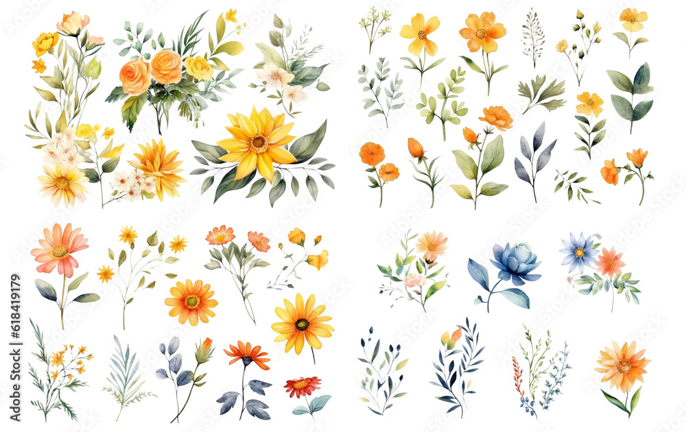 Watercolor flowers on a white background without shadows for illustration. Watercolor flowers on a white background without shadows for illustration.