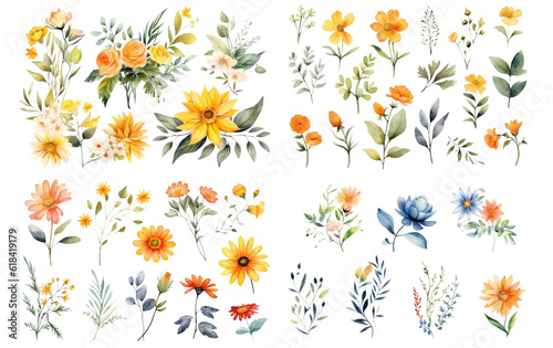 Watercolor flowers on a white background without shadows for illustration. © mangolovemom
