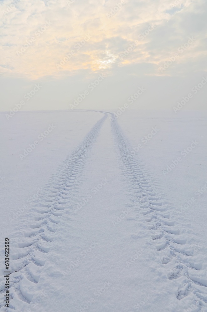 Winter Landscape with a track, winter in Germany