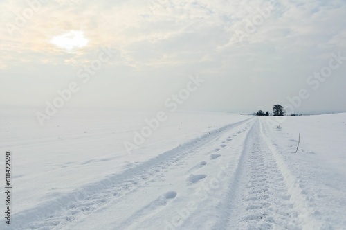 Winter landscape with a path and tracks, winter in Germany © M  Hieber/Wirestock Creators