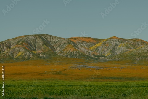 Scenic landscape of a rolling hillside with lush green grass and colorful wildflowers in bloom