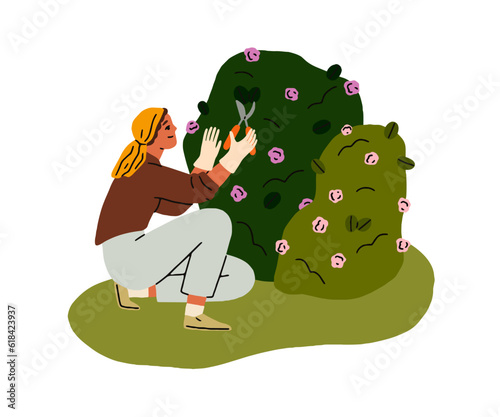 Woman gardener pruning plant in garden. Person cultivating, cutting rose flower shrub with shears, scissors, pruner. Horticulture hobby. Flat graphic vector illustration isolated on white background