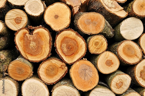 Wooden pile of freshly cut logs  neatly stacked and prepared for use as firewood