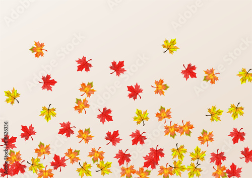 Green Foliage Background Beige Vector. Plant Ground Card. Autumnal September Floral. Season Leaves Texture.