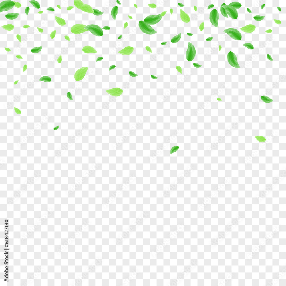 Green Leaves Background Transparent Vector. Foliage Air Design. Wild Card. Light Green Element Texture. Plant Flavor. Green Leaves Background Transparent Vector. Foliage Air Design. Wild Card. Light Green Element Texture. Plant Flavor.
