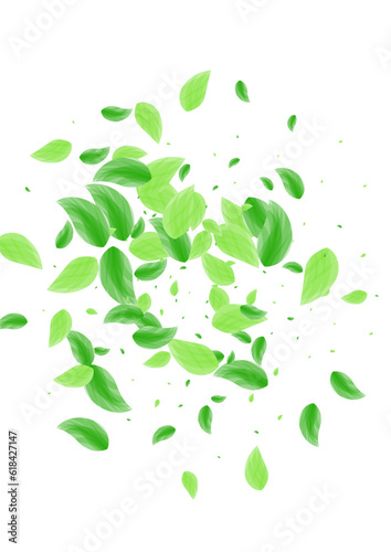 Green Foliage Background White Vector. Leaves Sprout Illustration. Flora Card. Greenish Forest Texture. Plant Peaceful.
