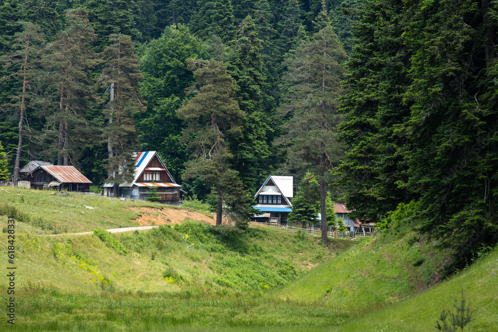 Balikli plateau forest and wooden house image