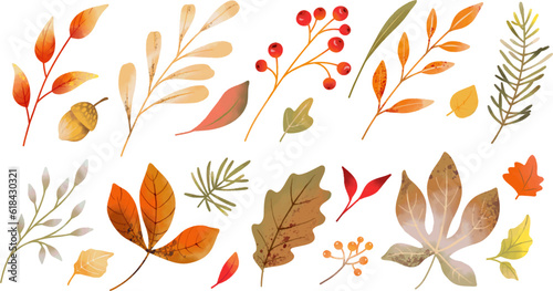 Watercolor different autumn leaves, berries and branches isolated on white background. Vector elements for fall season decor