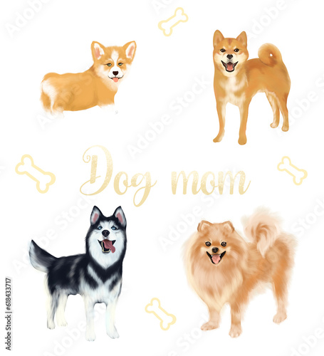 Dog mom illustration transparent background with corgi, shiba-Inu, hasky, Pomeranian spitz