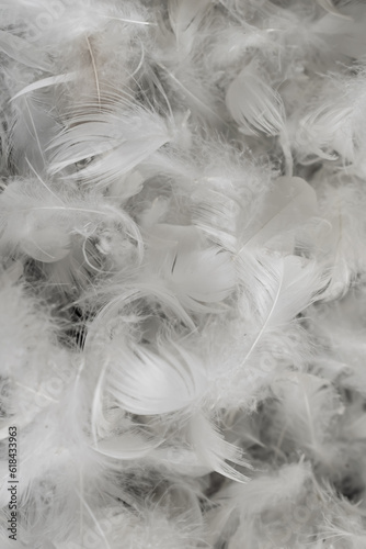 nice white duck feathers. background or texture © Krzysztof Bubel