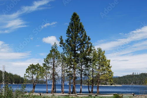 Blue Tahoe lake surrounded by green lush trees under blue sky © Panas/Wirestock Creators