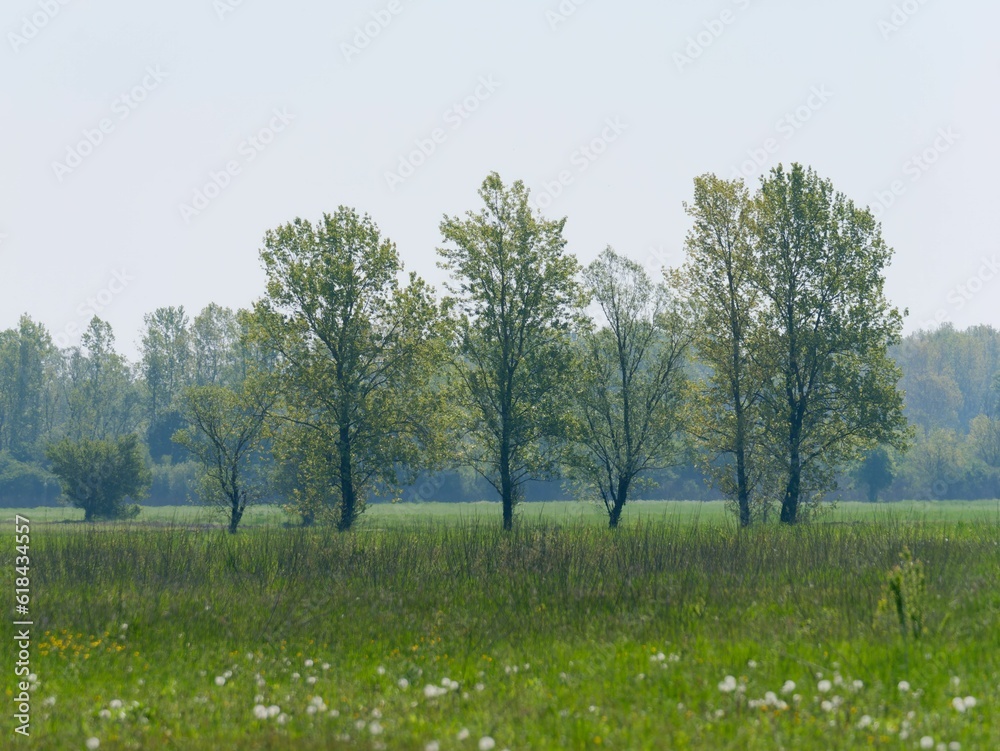 Vast expanse of farmland with freshly cultivated green crops in the foreground Vast expanse of farmland with freshly cultivated green crops in the foreground