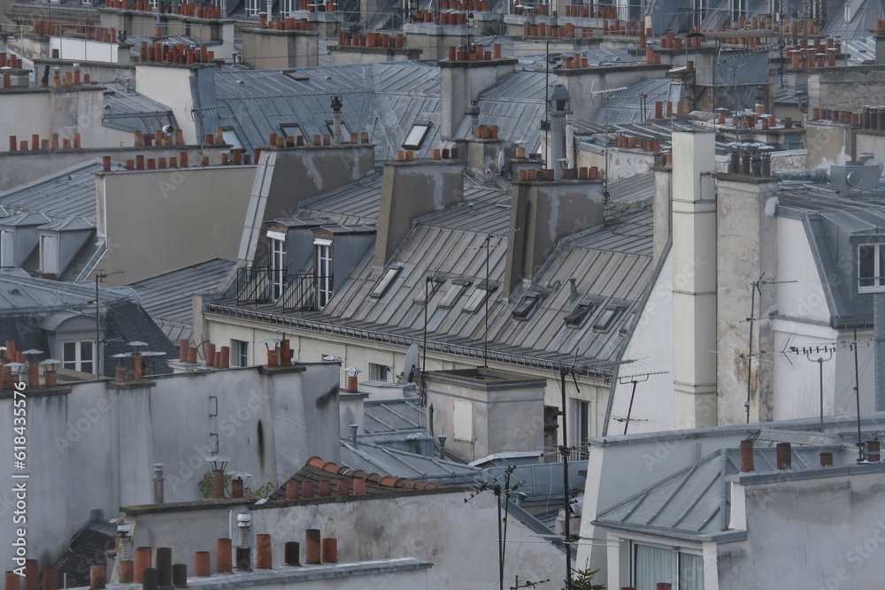 Fototapeta premium Paris building roofs, photos taken from the heights of Paris.It gathers many types of buildings with characteristic Parisian roofs, from various districts of the city. 