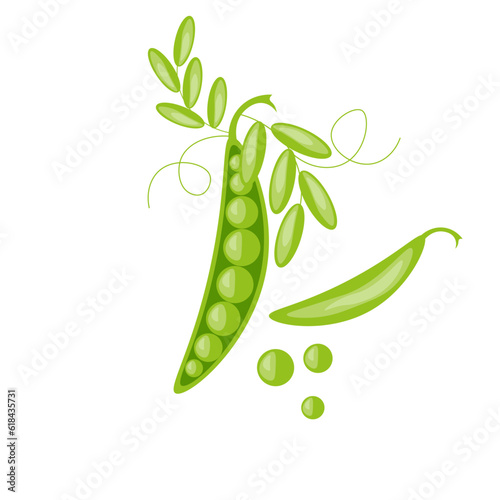 Cartoon Green Peas in the Pod isolated on white background. Spring vegetables. Vector illustration.