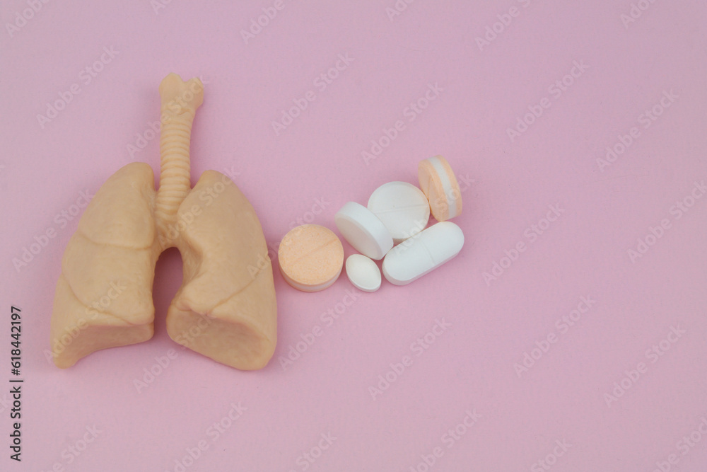 Obraz premium Human lungs model and medical pills on pink background. Copy space for text.