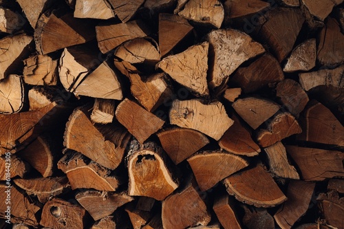 Stack of freshly cut firewood.