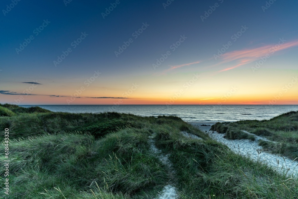 Scenic view of a path through a sandy beach covered with greenery at sunset