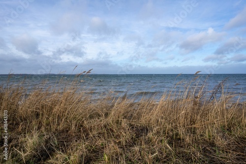 Fototapeta Naklejka Na Ścianę i Meble -  Scenic view of Geltinger Bay in Schleswig Holstein, Germany
