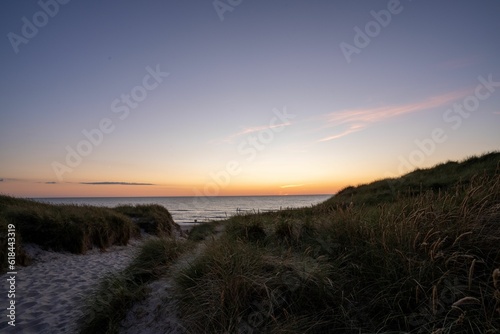 Scenic view of a path through a sandy beach covered with greenery at sunset