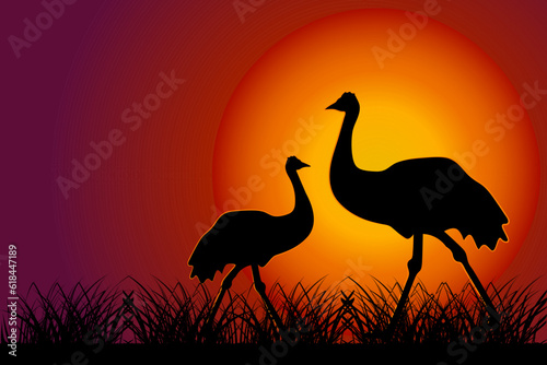 Ostrich at sunset.Silhouette of emu on orange sun background. Two ostrich in Australian savanna. Couple cassowary at sundown. Wildlife nature of Australia. Australia Day banner. Vector illustration