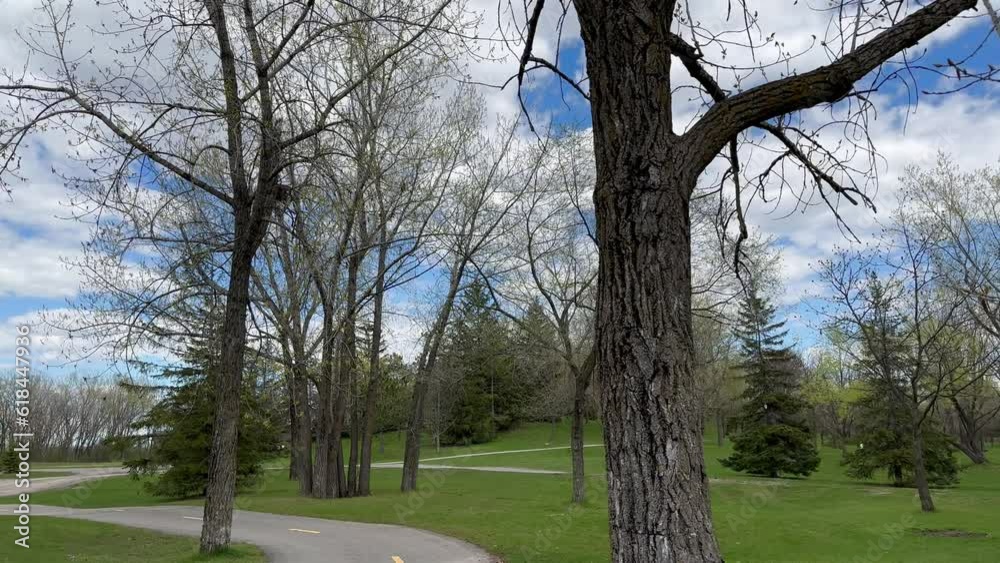 Beautiful view of walking paths and fields in a park Beautiful view of walking paths and fields in a park
