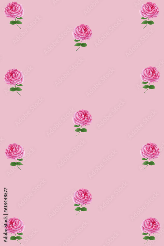 Background rose Background rose