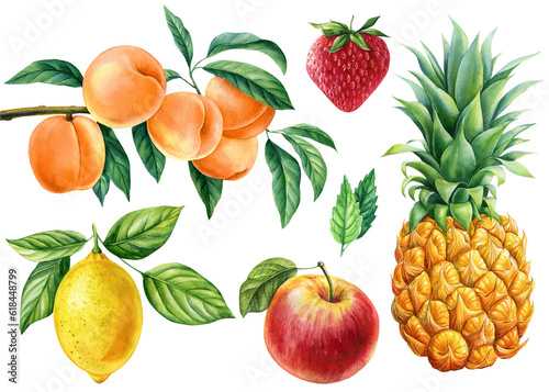 Fototapeta Naklejka Na Ścianę i Meble -  Fruits set, lemon, apple, strawberry, pineapple and peach on white background. Watercolor hand drawn illustration