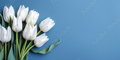 Bouquet of white tulips flower on blue background. Top view with copy space